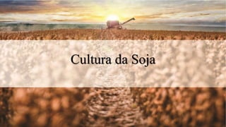 Cultura da Soja
 