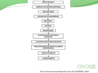 Fonte: Processo de produção do arroz da COOPERJA, Aline
 