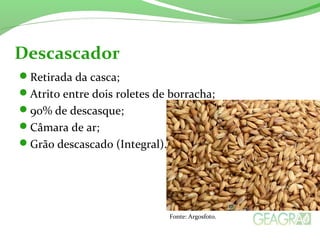 Retirada da casca;
Atrito entre dois roletes de borracha;
90% de descasque;
Câmara de ar;
Grão descascado (Integral).
Descascador
Fonte: Argosfoto.
 