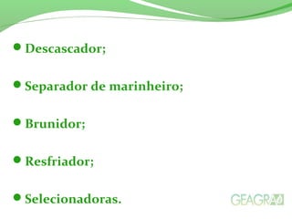Descascador;
Separador de marinheiro;
Brunidor;
Resfriador;
Selecionadoras.
 
