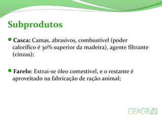 Casca: Camas, abrasivos, combustível (poder
calorífico é 30% superior da madeira), agente filtrante
(cinzas);
Farelo: Extrai-se óleo comestível, e o restante é
aproveitado na fabricação de ração animal;
Subprodutos
 