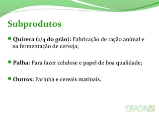 Quirera (1/4 do grão): Fabricação de ração animal e
na fermentação de cerveja;
Palha: Para fazer celulose e papel de boa qualidade;
Outros: Farinha e cereais matinais.
Subprodutos
 