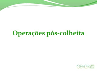 Operações pós-colheita
 