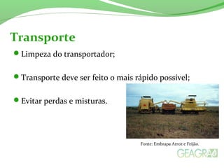 Limpeza do transportador;
Transporte deve ser feito o mais rápido possível;
Evitar perdas e misturas.
Transporte
Fonte: Embrapa Arroz e Feijão.
 