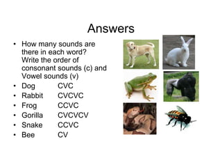 Answers
• How many sounds are
there in each word?
Write the order of
consonant sounds (c) and
Vowel sounds (v)
• Dog
CVC
• Rabbit
CVCVC
• Frog
CCVC
• Gorilla
CVCVCV
• Snake
CCVC
• Bee
CV

 