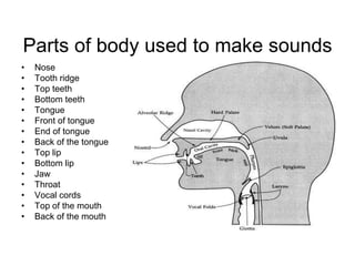Parts of body used to make sounds
•
•
•
•
•
•
•
•
•
•
•
•
•
•
•

Nose
Tooth ridge
Top teeth
Bottom teeth
Tongue
Front of tongue
End of tongue
Back of the tongue
Top lip
Bottom lip
Jaw
Throat
Vocal cords
Top of the mouth
Back of the mouth

 