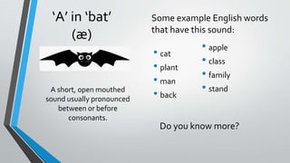 ‘A’ in ‘bat’
(æ)
• cat
• plant
• man
• back
A short, open mouthed
sound usually pronounced
between or before
consonants.
Some example English words
that have this sound:
Do you know more?
• apple
• class
• family
• stand
 