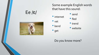 Ee /ɛ/
• internet
• vet
• bend
• get
Some example English words
that have this sound:
Do you know more?
• send
• fled
• trend
• website
 
