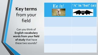 Key terms
from your
field
Ee /ɛ/ ‘A’ in ‘bat’ (æ)
Can you think of
English vocabulary
words from your field
of study that have
these two sounds?
 