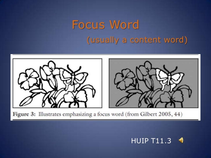 another word for focus