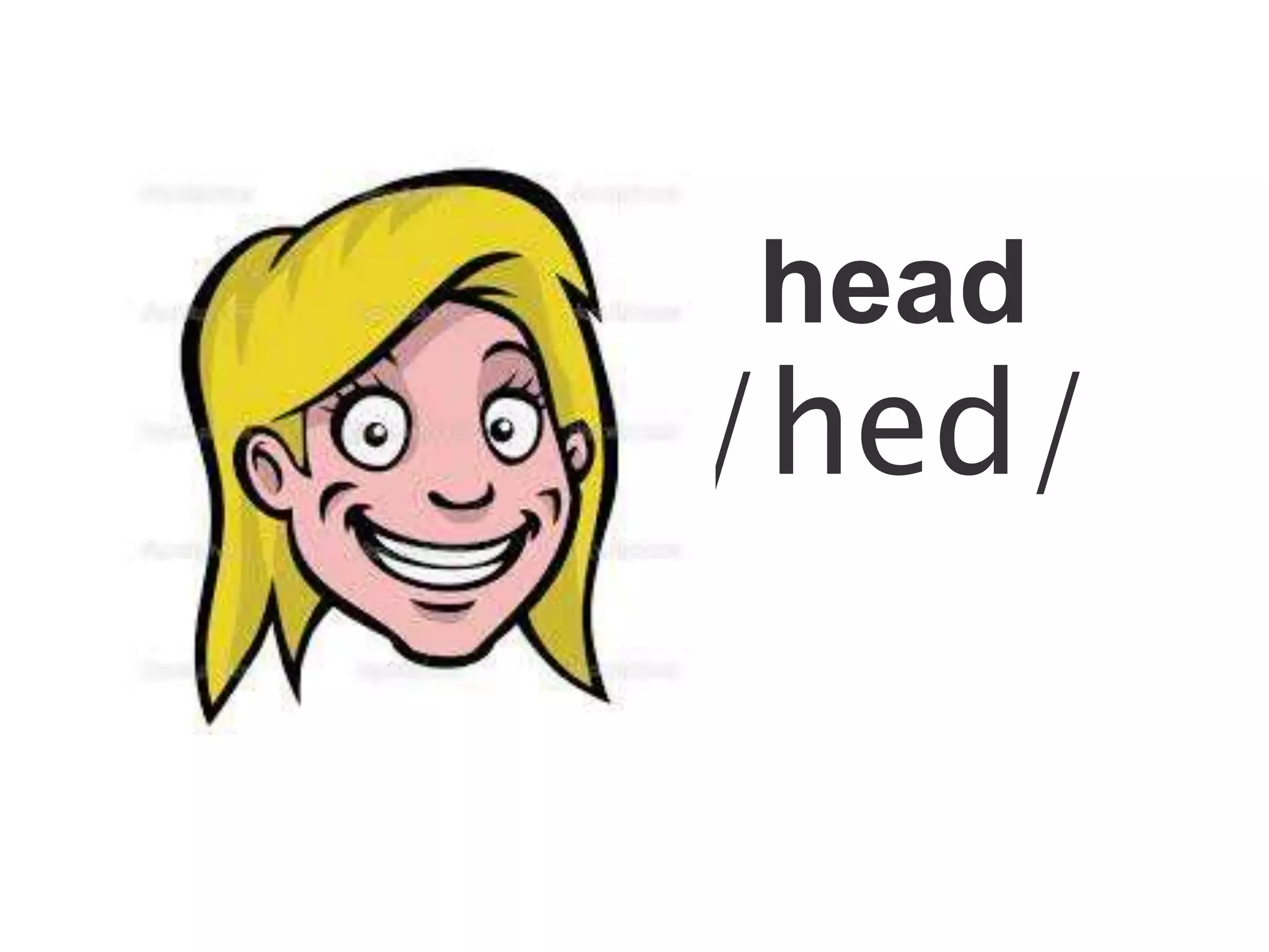head
/hed/
 