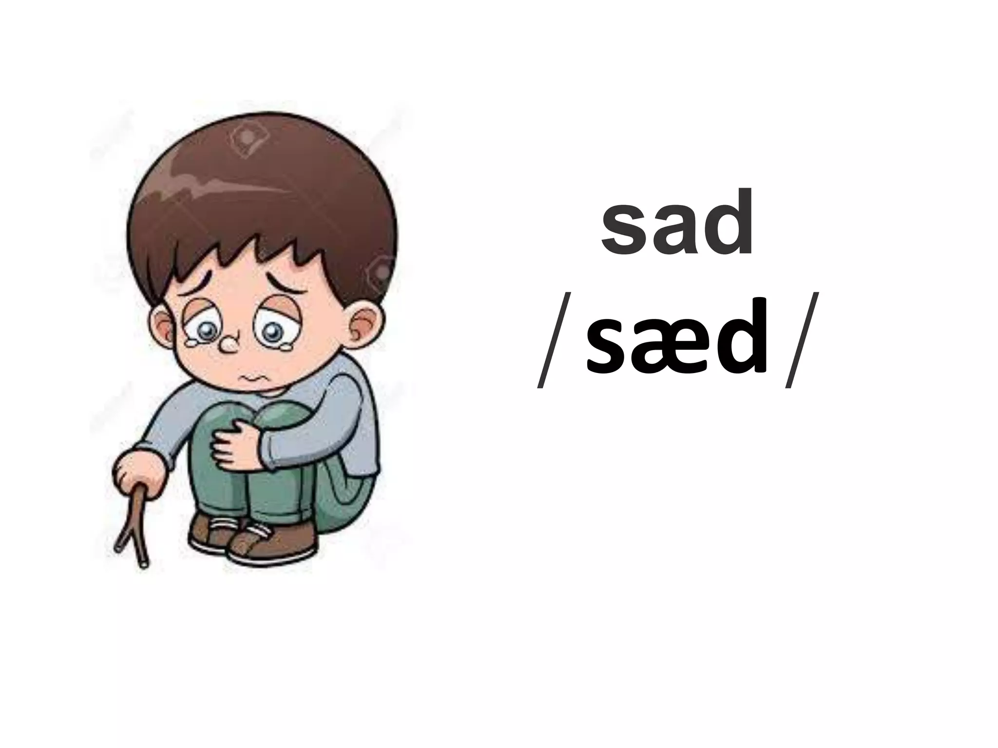 sad
/sæd/
 