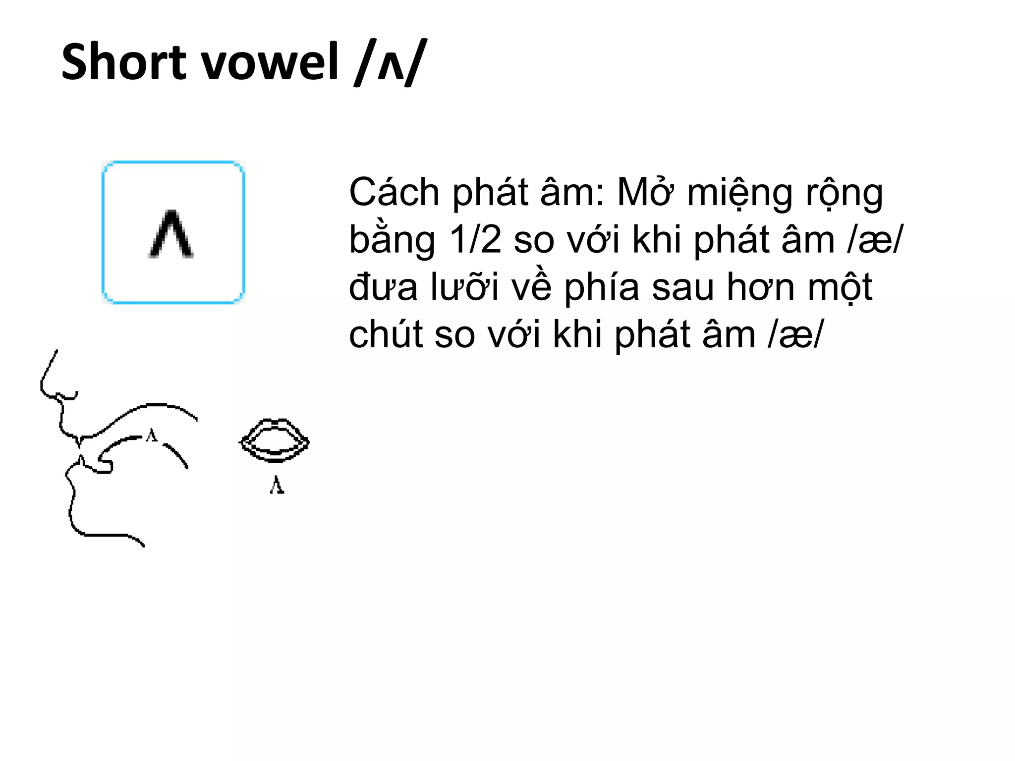 Short vowel /ʌ/
Cách phát âm: Mở miệng rộng
bằng 1/2 so với khi phát âm /æ/
đưa lưỡi về phía sau hơn một
chút so với khi phát âm /æ/
 