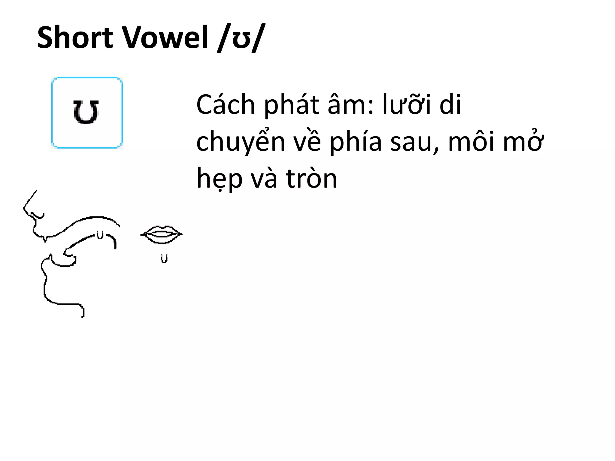 Short Vowel /ʊ/
Cách phát âm: lưỡi di
chuyển về phía sau, môi mở
hẹp và tròn
 