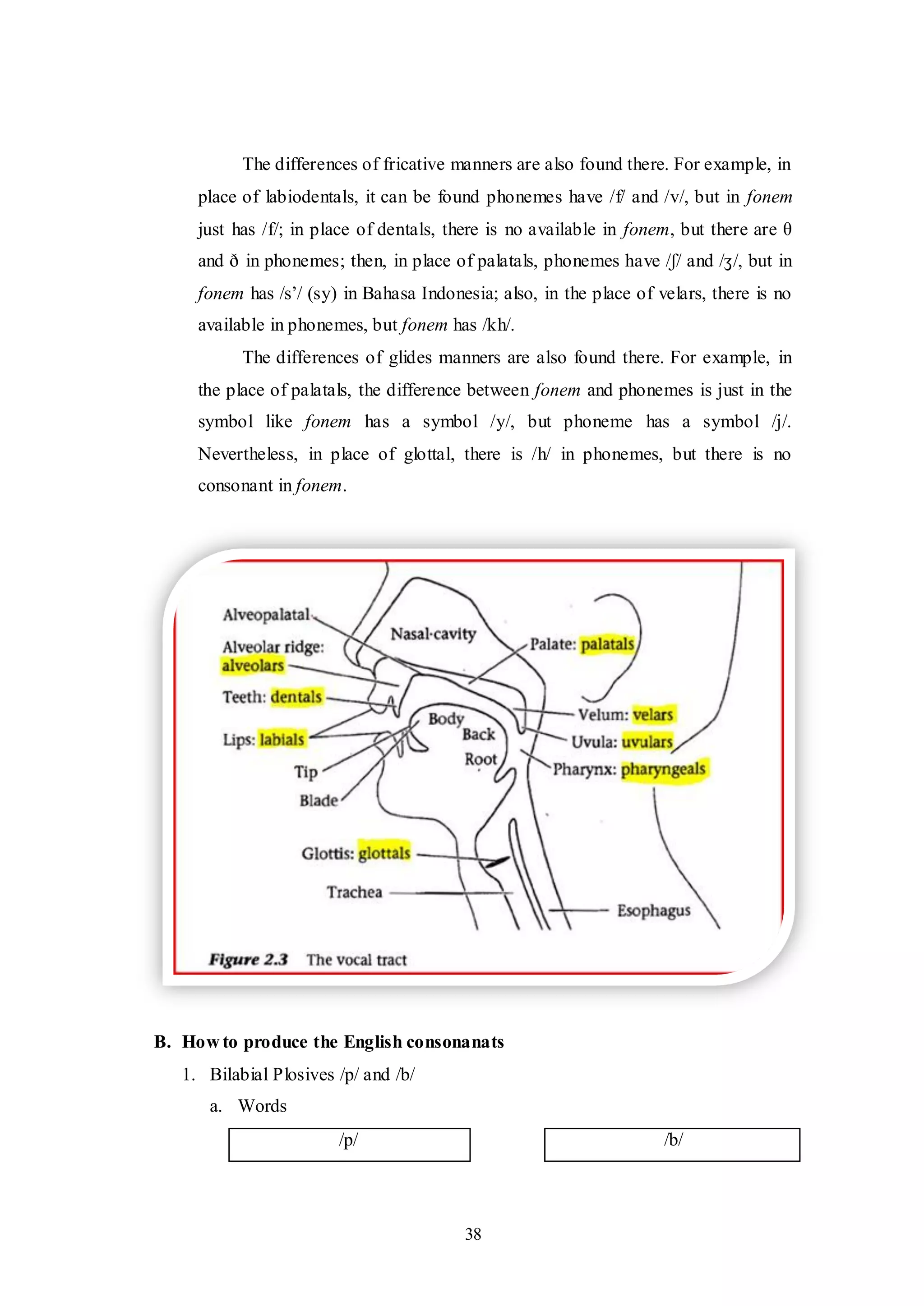 38
The differences of fricative manners are also found there. For example, in
place of labiodentals, it can be found phonemes have /f/ and /v/, but in fonem
just has /f/; in place of dentals, there is no available in fonem, but there are θ
and ð in phonemes; then, in place of palatals, phonemes have /ʃ/ and /ʒ/, but in
fonem has /s‟/ (sy) in Bahasa Indonesia; also, in the place of velars, there is no
available in phonemes, but fonem has /kh/.
The differences of glides manners are also found there. For example, in
the place of palatals, the difference between fonem and phonemes is just in the
symbol like fonem has a symbol /y/, but phoneme has a symbol /j/.
Nevertheless, in place of glottal, there is /h/ in phonemes, but there is no
consonant in fonem.
B. How to produce the English consonanats
1. Bilabial Plosives /p/ and /b/
a. Words
/p/ /b/
 