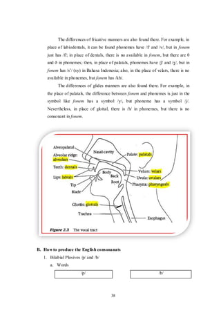 38
The differences of fricative manners are also found there. For example, in
place of labiodentals, it can be found phonemes have /f/ and /v/, but in fonem
just has /f/; in place of dentals, there is no available in fonem, but there are θ
and ð in phonemes; then, in place of palatals, phonemes have /ʃ/ and /ʒ/, but in
fonem has /s‟/ (sy) in Bahasa Indonesia; also, in the place of velars, there is no
available in phonemes, but fonem has /kh/.
The differences of glides manners are also found there. For example, in
the place of palatals, the difference between fonem and phonemes is just in the
symbol like fonem has a symbol /y/, but phoneme has a symbol /j/.
Nevertheless, in place of glottal, there is /h/ in phonemes, but there is no
consonant in fonem.
B. How to produce the English consonanats
1. Bilabial Plosives /p/ and /b/
a. Words
/p/ /b/
 