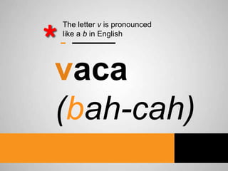 The letter v is pronounced
like a b in English

vaca
(bah-cah)

 
