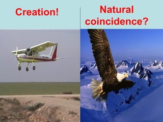 Creation! Natural
coincidence?
 