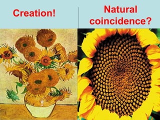 Creation! Natural
coincidence?
 