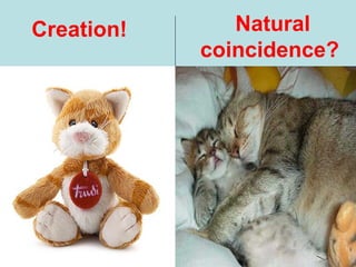 Creation! Natural
coincidence?
 