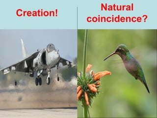 Creation!
Natural
coincidence?
 
