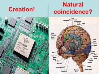 Creation!
Natural
coincidence?
 