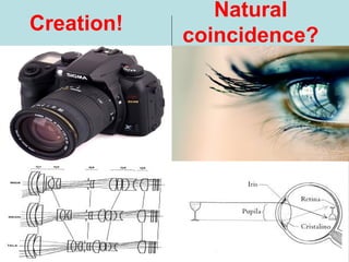 Creation!
Natural
coincidence?
 