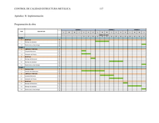 CONTROL DE CALIDAD ESTRUCTURA METÁLICA 117
Apéndice B. Implementación
Programación de obra
 