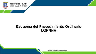 Esquema del Procedimiento Ordinario
LOPNNA
Docente Lorena G. Collantes Coli
 
