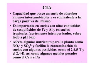CIA
• Capacidad que posee un suelo de adsorber
  aniones intercambiables y es equivalente a la
  carga positiva del mismo
• Es importante en suelos con altos contenidos
  de sesquióxidos de Fe y Al y en suelos
  tropicales fuertemente intemperizados, sobre
  todo a pH bajo
• Afecta algunos nutrientes para la planta como
  NO3- y SO42- y facilita la contaminación de
  suelos con algunos pesticidas, como el 2,4,5-T y
  el 2,4-D, así como algunos metales pesados
  como el Cr y el As
                       Daniel F. Jaramillo J. Profesor Titular. Universidad Nacional de Colombia. Medellín.
 