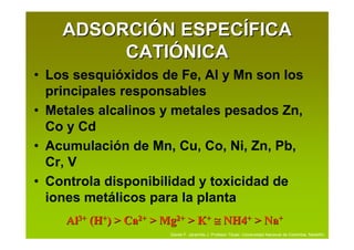 ADSORCIÓN ESPECÍFICA
         CATIÓNICA
• Los sesquióxidos de Fe, Al y Mn son los
  principales responsables
• Metales alcalinos y metales pesados Zn,
  Co y Cd
• Acumulación de Mn, Cu, Co, Ni, Zn, Pb,
  Cr, V
• Controla disponibilidad y toxicidad de
  iones metálicos para la planta
    Al3+ (H+) > Ca2+ > Mg2+ > K+ ≅ NH4+ > Na+
                       Daniel F. Jaramillo J. Profesor Titular. Universidad Nacional de Colombia. Medellín.
 