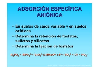 ADSORCIÓN ESPECÍFICA
          ANIÓNICA

 • En suelos de carga variable y en suelos
   oxídicos
 • Determina la retención de fosfatos,
   sulfatos y silicatos
 • Determina la fijación de fosfatos

H2PO4- > HPO42- > SeO42- ≅ HMoO4- ≅ F- > SO42- > Cl- > NO3-


                            Daniel F. Jaramillo J. Profesor Titular. Universidad Nacional de Colombia. Medellín.
 