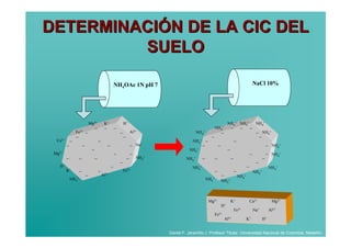 DETERMINACIÓN DE LA CIC DEL
         SUELO

                                                           NH4OAc 1N pH 7                                                                                     NaCl 10%




                                 Mg2+          K+                  H+                                                              NH4+ NH4+                   NH4+
                                      −        −           −                                                          NH4+             −        −         −
                 Fe3+        −                                 −           Al3+                       NH4+                    −                                − NH4+
                 −                                                 −                                              −                                             −
  Ca2+       −                            −                                                       NH4+       −                             −
         −               −                         −                       −   Na+                       −                −                                              − NH4+
                                  −                                                              NH4+                              −
 Mg2+                                                      −               −                                                                              −              − NH4+
         −           −                −                                −       NH4+            NH4+      −            −                −                             −
                                                               −                                                                                               −
   H+                                                  −                                          NH4+                                                −                   NH4+
         K+          −                    −                        Fe3+                                               −                    −                  NH4+
                             −                Al3+                                                                            −                NH4+
             NH4+                                                                                            NH4+             NH4+



                                                                                                                 Mg2+                  K+                 Ca2+             Mg2+
                                                                                                                              H+
                                                                                                                                           Fe3+               Na+         Al3+
                                                                                                                      Fe3+
                                                                                                                                  Al3+                K+             H+


                                                                                      Daniel F. Jaramillo J. Profesor Titular. Universidad Nacional de Colombia. Medellín.
 