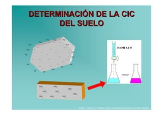 DETERMINACIÓN DE LA CIC
            DEL SUELO
                                        Na+          Na+               Na+
                          Na+               −        −            −
      Na+                         −                                    −        Na+
                      −                                                     −
 Na+            −                               −
            −                 −                           −                         −    Na+
Na+                                     −
                                                                  −                 −    Na+
            −             −                 −                                   −
                                                                       −
 Na+                                                          −                         Na+
                          −                     −                     Na+
                                  −                 Na+
                Na+               Na+




                          NH4+                       NH4+
                                                                                    NH4+
                                  NH4+                    NH4+
                                                                                              NH4+
                          NH4+                  NH4+                   NH4+




                                                                                                     Daniel F. Jaramillo J. Profesor Titular. Universidad Nacional de Colombia. Medellín.
 