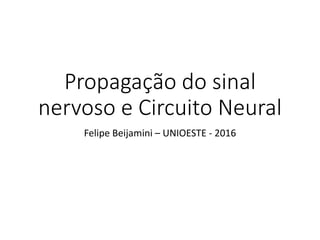 Propagação do sinal
nervoso e Circuito Neural
Felipe Beijamini – UNIOESTE - 2016
 
