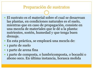 Preparación de sustratos

 El sustrato es el material sobre el cual se desarroan
    las plantas, en condiciones naturales es el suelo,
    mientras que en caso de propagación, consiste en
    una mezcla de materiales que le dé a la planta:
    nutrientes, sostén, humedad y que tenga buen
    drenaje.
   En esta práctica, se empleará una mezcla de:
   1 parte de suelo
   1 parte de arena fina
   1 parte de composta, o lumbricomposta, o bocashi o
    abono seco. En última instancia, horasca molida
 