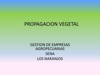 PROPAGACION VEGETAL


  GESTION DE EMPRESAS
    AGROPECUARIAS
         SENA
     LOS NARANJOS
 