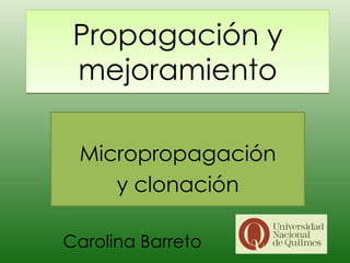 Propagación y mejoramiento Micropropagación y clonación  Carolina Barreto 