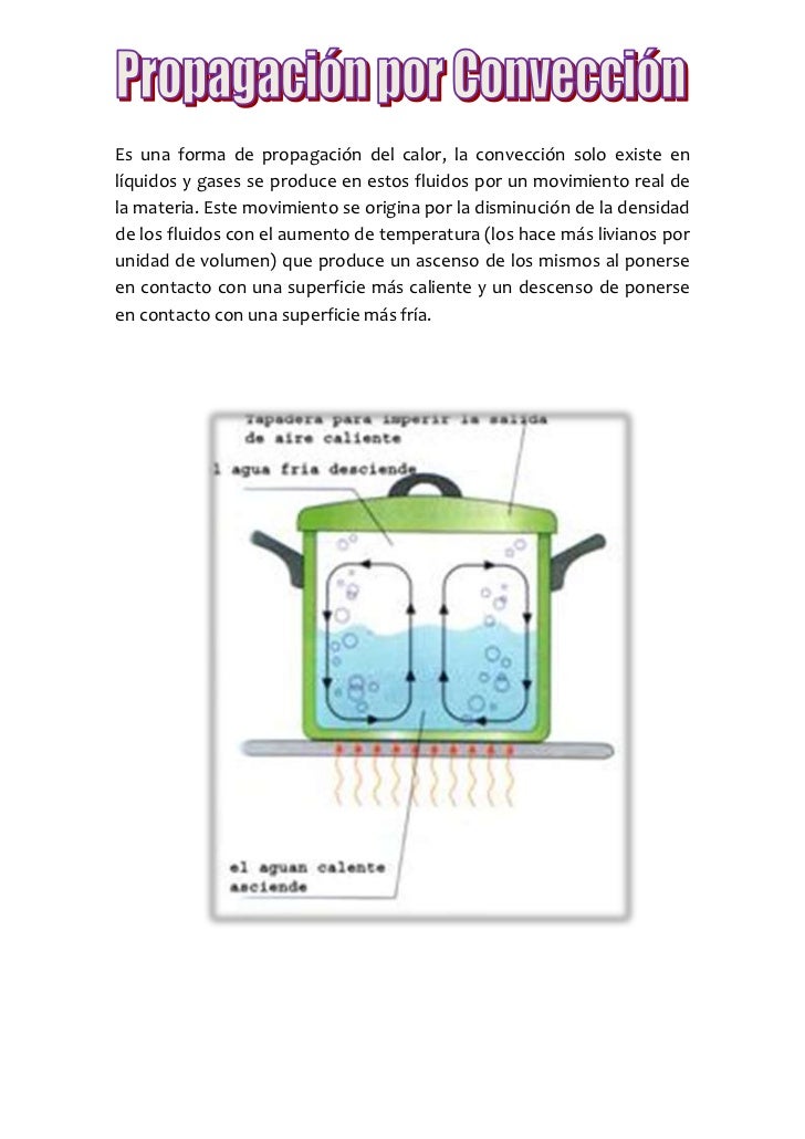 Propagacion del calor