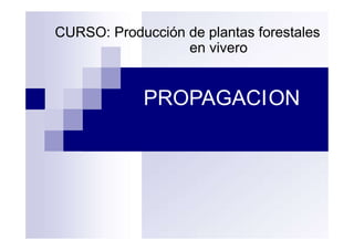 CURSO: Producción de plantas forestales
en vivero
PROPAGACION
 