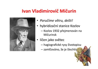 Ivan Vladimirovič Mičurin
      • Poručíme větru, dešti!
      • hybridizační stanice Kozlov
        – Kozlov 1932 přejmenován na
          Mičurinsk
      • líčen jako světec
        – hagiografické rysy životopisu
        – zamlčováno, že je šlechtic
 