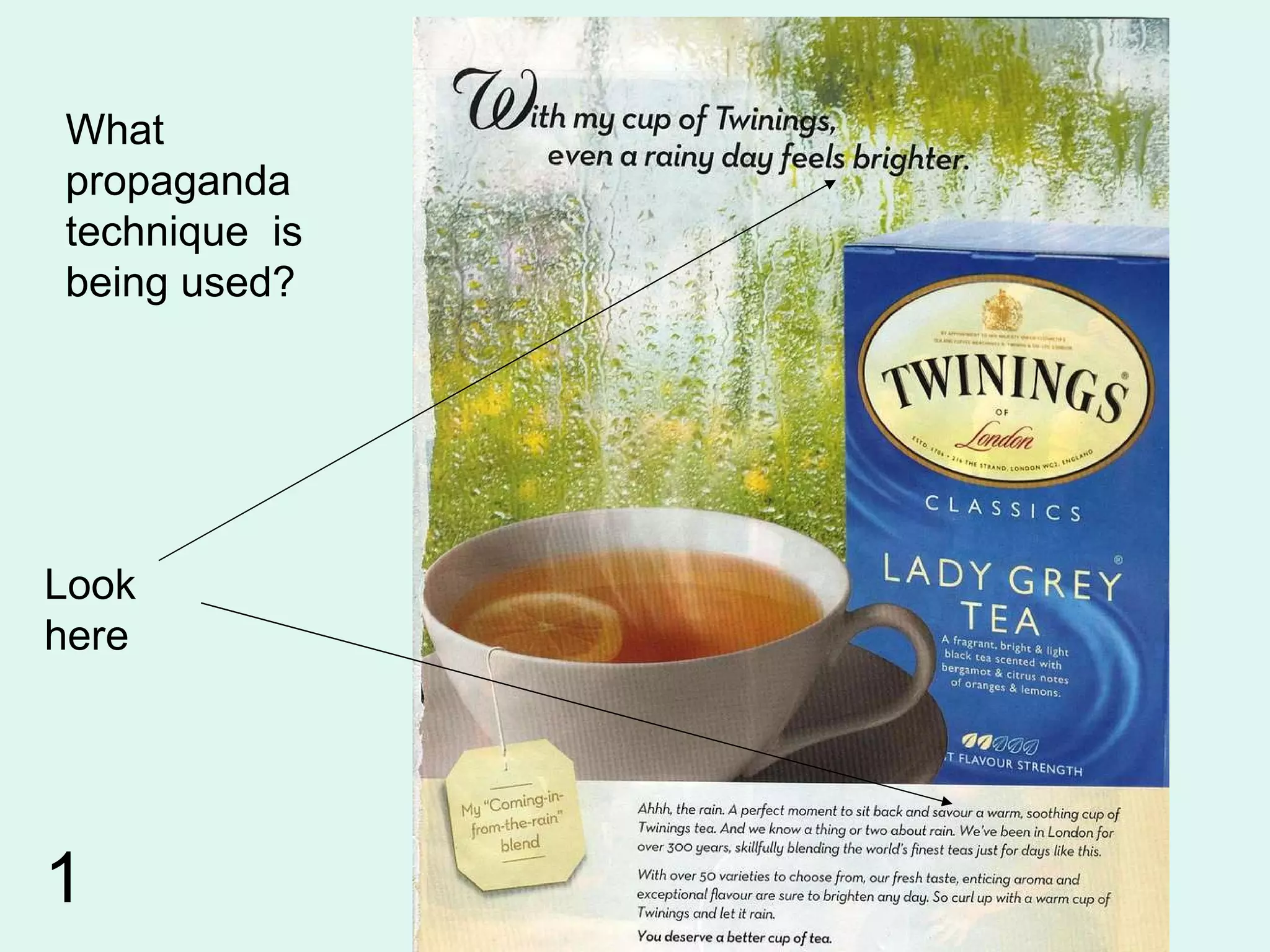 Propaganda In Advertisements | PPT