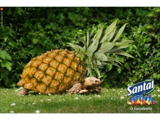 Propagandas diferentes