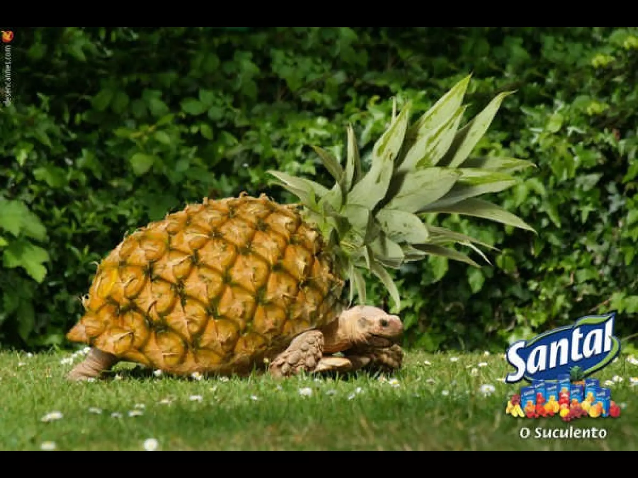 Propagandas censuradas