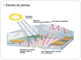  Estufas de plantas
 