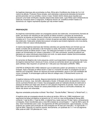 As begônias tuberosas são encontradas na Ásia, África até a Cordilheira dos Andes de 2 a 4 mil
metros de altitude. Produzem flores simples, semi-dobradas e plenamente dobradas de tamanho
grande parecidas com as camélias, cravos e rosas. Existem dentro desse grupo àquelas que
possuem uma haste ramificada e àquelas desprovidas desta haste, cujas folhas saem diretamente do
tubérculo, formando assim 2 subgrupos. A Begonia davisii e B. rosaeflora emitem hastes e B.
boliviensis e B. fulgens representa aquelas que não emitem hastes.
PROPAGAÇÃO
As begônias tuberhybridas podem ser propagadas através dos tubérculos, erroneamente chamado de
bulbo, que devem ser retirados do solo quando as folhas iniciarem o processo de senescência.
Conservar as túberas em local fresco e limpo até o momento do plantio. Os tubérculos podem ser
cortados em 2, 3 ou 4 partes, de acordo o número de gemas que estão localizadas na parte superior
dos tubérculos. Cada parte cortada deve possuir uma gema que brotará originando uma nova planta,
o plantio é feito em vasos individualizados.
A maioria das begônias tuberosas são híbridas coloridas com grandes flores com formato que vai
desde a simples até as dobradas e são formadas no verão. No inverno o tubérculo permanece
dormente quando as folhas secam e caem. Os tubérculos formados no outono, assim que colhidos
podem ser armazenados em caixas e colocados a 13ºC até a primavera, quando já poderam ser
plantados em vasos individuais preenchidos com turfa. os vasos devem receber boa luminosidade.
Fornecer água aos poucos após a brotação (1 ).
As sementes de Begônia são muito pequenas, porém sua longevidade é bastante grande. Sementes
de begônia tuberosa ficam viáveis por 9 anos, contudo as sementes devem ser semeadas até 1 ano
após colhidas. Elas requerem um período de 1 mês para sua maturação (LARSON, 1980).
CASTRO & GONÇALVES (1992) relataram que os tubérculos podem ser plantados no início de sua
brotação. Após a floração as folhas secam e caem é o momento de retirar os propágulos do solo e
tratá-los com fungicidas. Deixar em repouso em locais sombreados, secos e com boa ventilação até
iniciar a brotação. A armazenagem pode ser feita em esfagno seco. O florescimento ocorre na
primavera.
A begônia tuberosa de flor grande, Begonia tuberhybrida da família Begoniaceae, é encontrada com
flores de cor branco, rosa, vermelho, alaranjado e bicolor. A floração ocorre de dezembro a março
sendo a primeira florada aos 4 meses. Sua propagação pode ser realizada através de tubérculos e
estaquia de folhas que neste caso deverá vir com pequeno fragmento do pecíolo. Fazer cortes no
limbo foliar nas nervuras. Plantar em caixas preenchidas com areia ou vermiculita umedecida. As
folhas não devem ser enterradas.
Algumas variedades produzidas no Brasil: "Non-Stop", "Double Ruffles", "Memory" e "Bridal Fest"( 1).
A begônia pode ser propagada através da cultura de tecidos, IIDA et al. (1986) trabalharam com
segmentos de folhas de begônia no tamanho de 7x7 mm2 em meio de Murashige & Skoog (MS)
contendo 1 mg/l de BA e 1 mg/l de ANA, o material ficou neste meio por 70 dias. Após o enraizamento
e brotações, foram transferidas para o meio MS (metade da concentração) + 1 mg/l de ANA e após 30
dias, foram transferidas para o solo. Os segmentos de folha permaneceram, após brotações, no meio,
podendo ser usadas para produção de mais brotações em 40 dias (em meio MS + 10 mg/l de BA + 1
mg/l de ANA). Segundo os mesmos autores, teoricamente, um quadrado de 7 x 7 mm de segmento
foliar pode-se obter 105 plântulas em 1 ano.
 