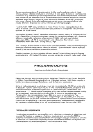 Os mesmos autores avaliaram 7 tipos de explante de folha para formação de mudas de violeta
africana, utilizou o substrato constituído de uma mistura de areia grossa de barranco e palha de arroz
carbonizada (1:1). Verificaram que pecíolos plantados sem limbo morreram rapidamente, assim como
limbo sem pecíolo que apresentou 50% de mortalidade devido principalmente a prodridões causadas
por fungos, sendo elevado o número de mudas por explante. Relataram ainda, que o tamanho do
limbo possui influência direta na formação de novas plantas, sem o mesmo a produção cai pela
metade. O tamanho do pecíolo não exerceu influência aparente na propagação.
TAKEBAYASHI (1987) testou variedades de violeta africana visando a propagação através de
cultura de tecidos. Observou o tempo necessário para produção de novas plantas e a quantidade e
qualidade das mudas obtidas.
Utilizou tecido de folhas e pecíolo, previamente esterilizados com uma solução de hipoclorito de sódio
a 1% e Tween 80 a 0,1% por cinco minutos em imersão. Os meios utilizados foram o MS ( Murashige
& Skoog ) + cinetina 0,2 mg/l e ácido naftalenacético (ANA) 0,2 mg/l - meio para indução à
regeneração. Utilizou MS (1/2 da concentração) + ácido indolbutírico (IBA) 0,5 mg/l e para o
enraizamento utilizou o MS + ANA 0,1 mg/l e IBA 0,2 mg/l.
Após a obtenção do enraizamento as novas mudas foram transplantadas para substrato composto por
vermiculita expandida umedecida com solução de Hypomex 1 g/l e mantidas em casa de vegetação
durante 30 dias, sendo transferidas para substrato definitivo.
Concluiu que através da cultura de tecidos utilizando apenas 5 folhas pode-se obter após 5 meses,
aproximadamente 1.000 mudas. Pelo método comercial a proporção seria de 20 mudas para 5 folhas.
PROPAGAÇÃO DO KALANCHOE
Kalanchoe blossfeldiana Poelln. - Crassulaceae
O kalanchoe é a muito tempo considerado como flor de vaso. Foi introduzido em Ptsdam, Alemanha
e, 1932 por Robert Blossfeld (Broertjes & Leffring, 19721 citado por Love, 1980). Muitas mutações e
híbridos foram desenvolvidos por floricultores a partir da Kalanchoe blossfeldiana.
Nativa do madagascar, planta suculenta que requer alta intensidade de luz (50.000 lux), e necessita
de dias curtos -12 horas e temperatura noturna de 17ºC para rápido florescimento. Um período de 6
semanas consecutivas de fotoperíodo (dia curto = DC) é necessário para o florescimento com
temperatura de 17ºC. São necessárias 14 semanas a 13ºC para florescer. Novas cultivares e híbridas
são propagadas por estaca terminal, porém são obtidos de viveiros de plantas jovens em vaso.
Plantas matrizes são mantidas sob dias longos (DL), como ocorre com o crisântemo. Para
propagação via sementes, a temperatura ótima para germinação (10 dias) sob luz, é de 21ºC com
adequado substrato. As pequenas sementes são semeadas na superfície do solo sob local protegido.
O tempo para propagação é de 14 a 21 dias quando realizada por estaquia terminal. Plantas jovens
são mantidas sob alta intensidade de luz, sob condições de dias longos (Hartmann et al. 1988).
PROPAGAÇÃO POR SEMENTES
Inicialmente a propagação por sementes foi o melhor método para propagação do kalanchoe a nível
comercial. Na Europa já se propagava o Kalanchoe blossfeldiana via sementes. Em 1932 na
Alemanha, inúmeros híbridos de kalanchoe foram introduzidos para produção comercial. As sementes
de Kalanchoe são extremamente pequenas possuindo 2,5 milhões de sementes em 28 gramas. Nos
EUA as sementes são semeadas de janeiro a julho (Hartmann et al. 1988).
 