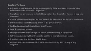 Propagating structures