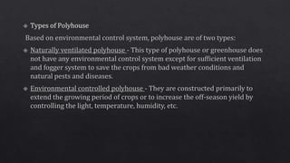 Propagating structures