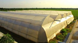 Propagating structures